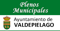 Plenos municipales